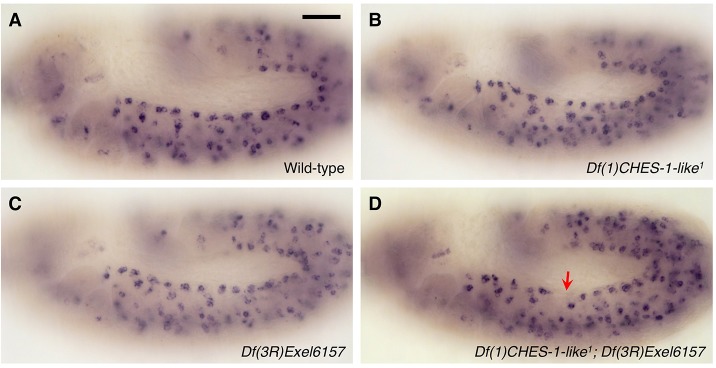 Fig. 3.