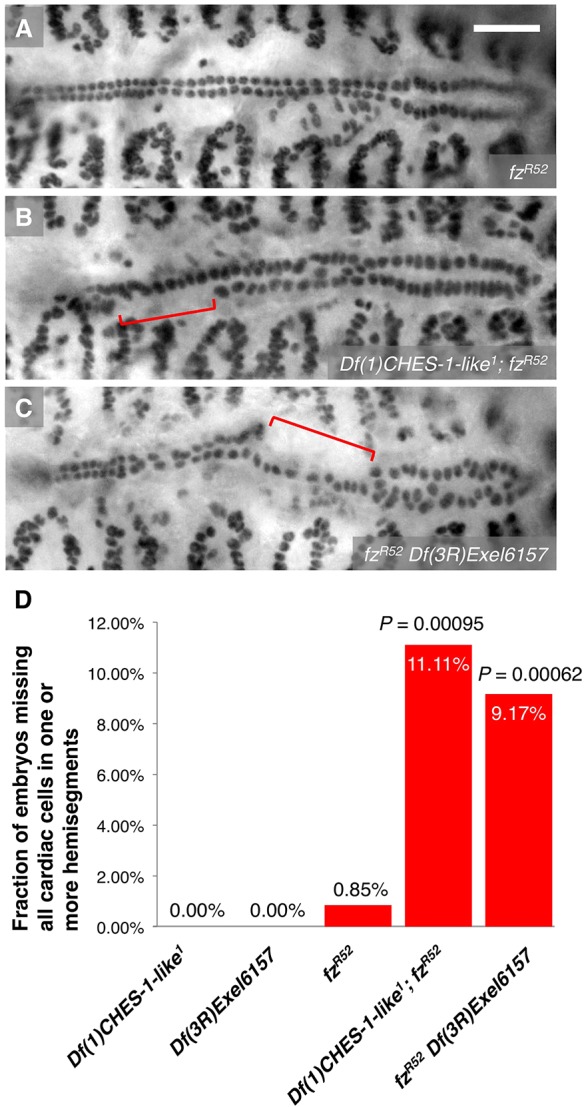 Fig. 6.