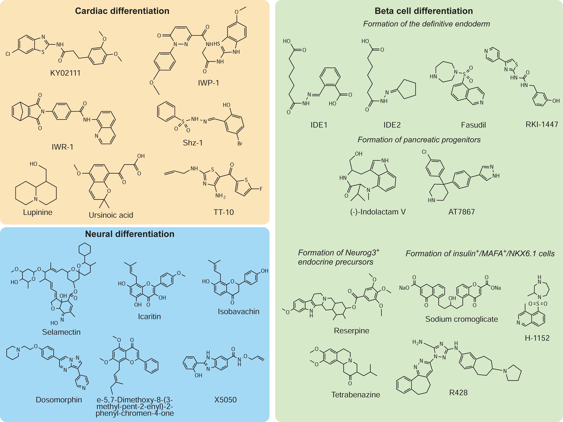 Figure 2.