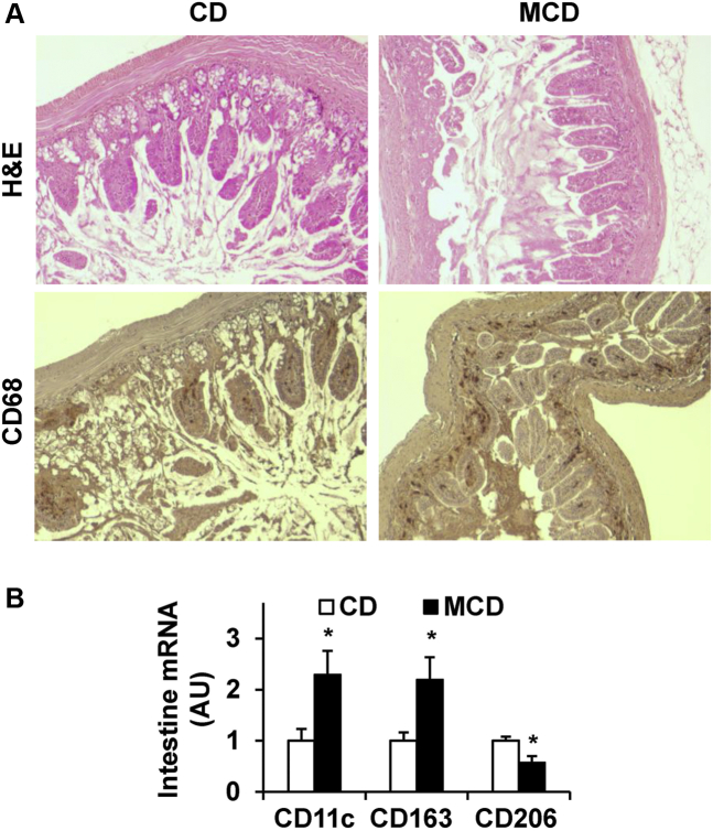 Figure 4