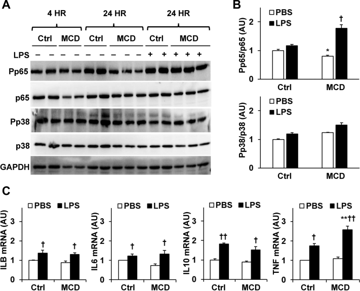Figure 6
