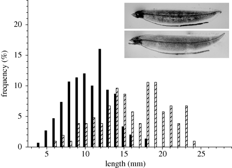 Figure 3.