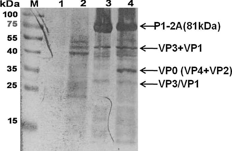 Fig. 3