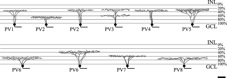 Fig. 8