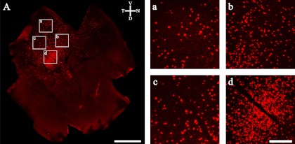 Fig. 4