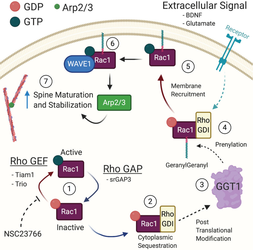 Figure 3.