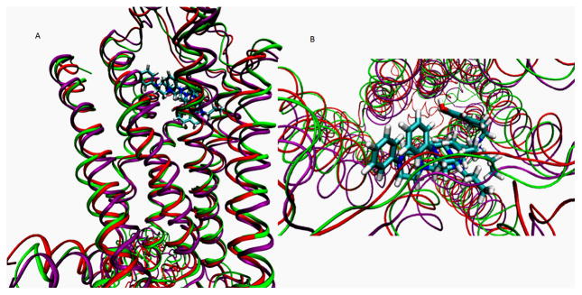 Fig. 3