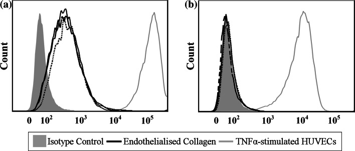 Fig. 7