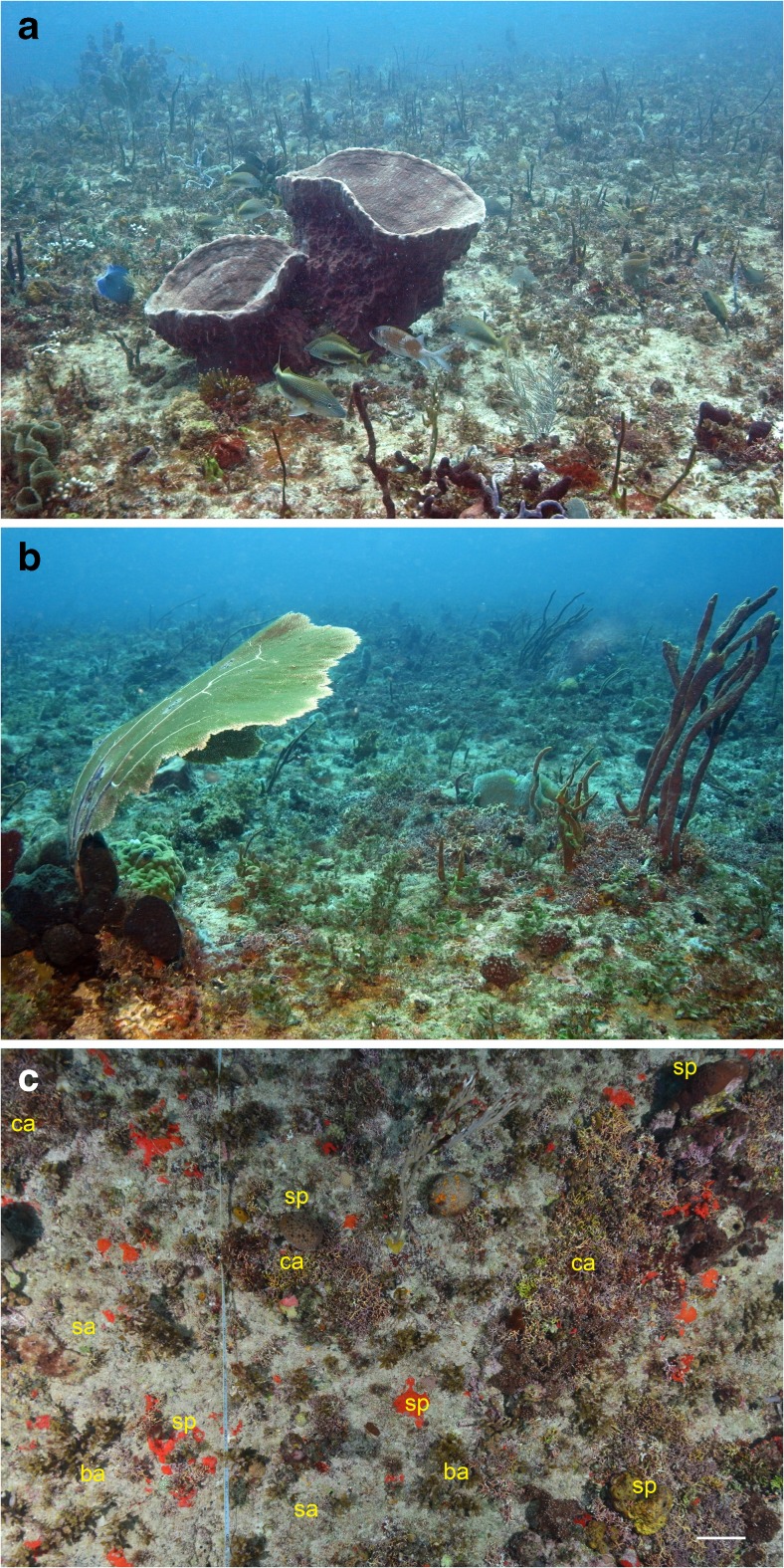 Fig. 2