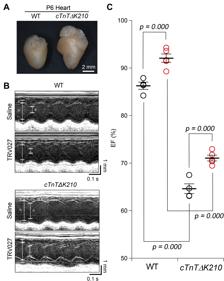 Figure 6