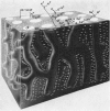 239