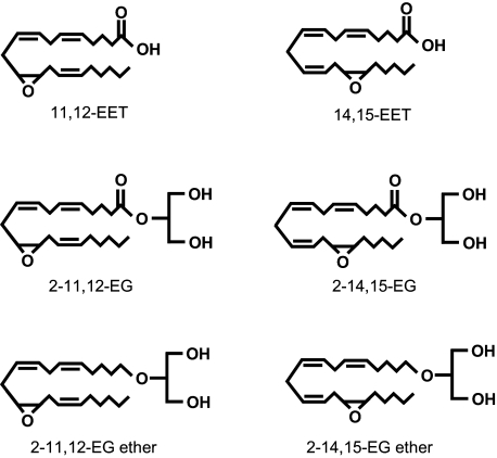 FIGURE 10.