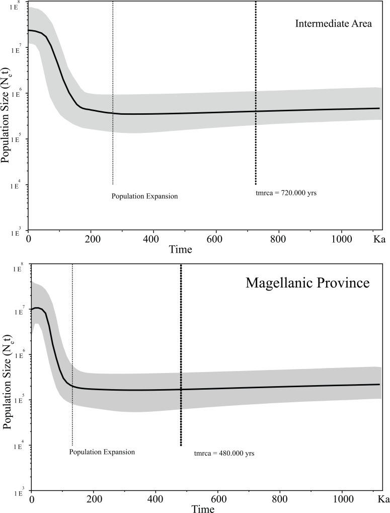 Fig 5