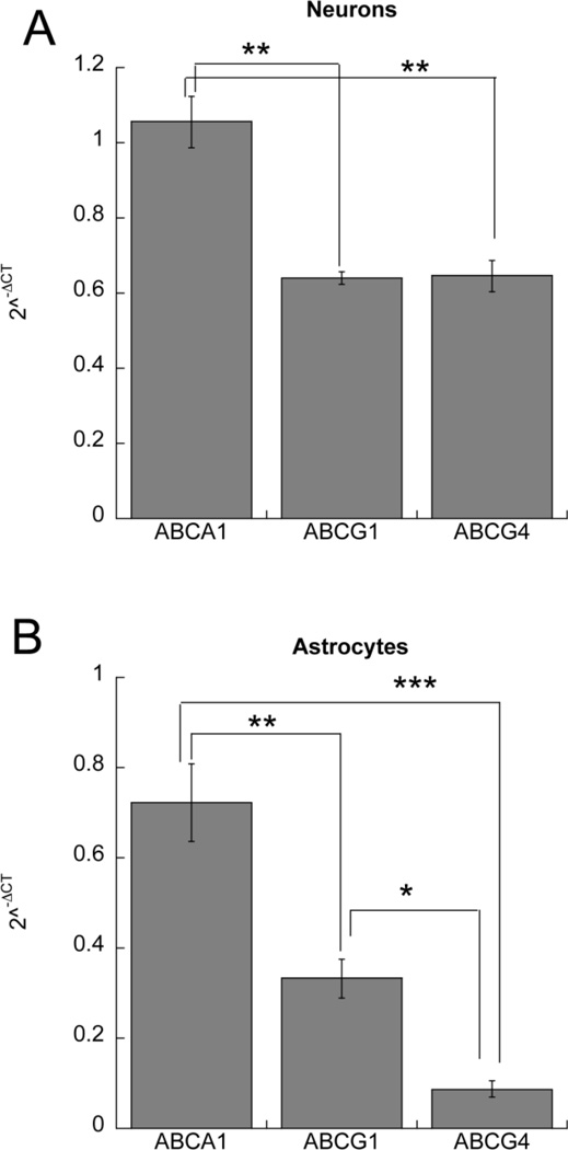 Fig.2