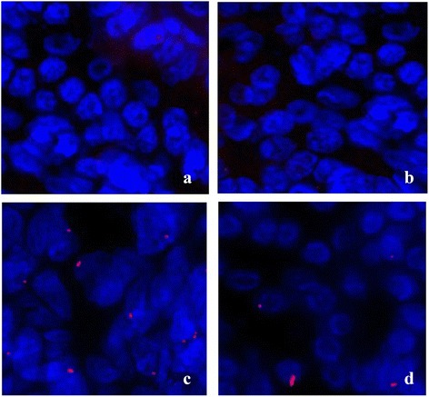 Fig. 10