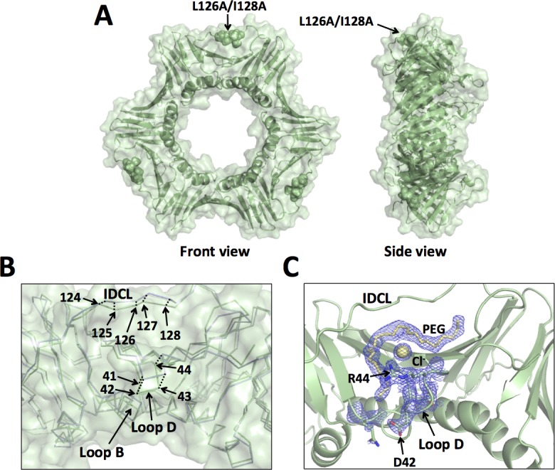 Fig 5