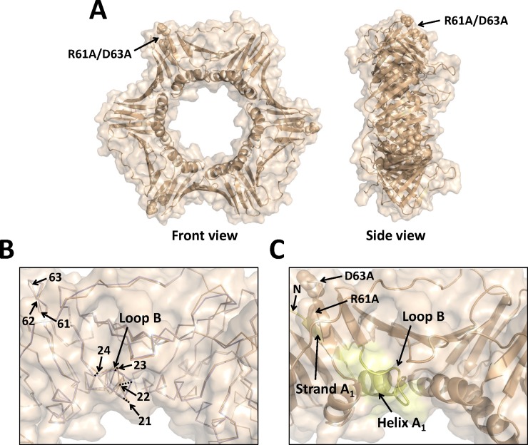 Fig 4