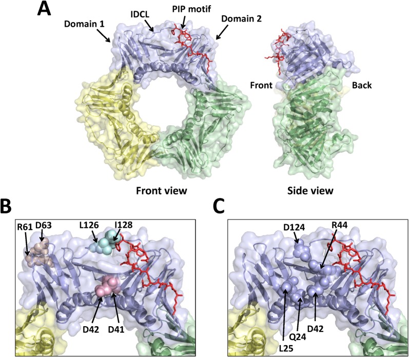 Fig 1