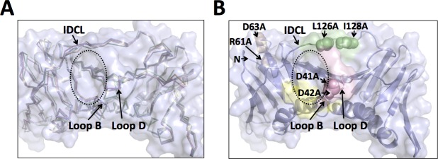 Fig 6