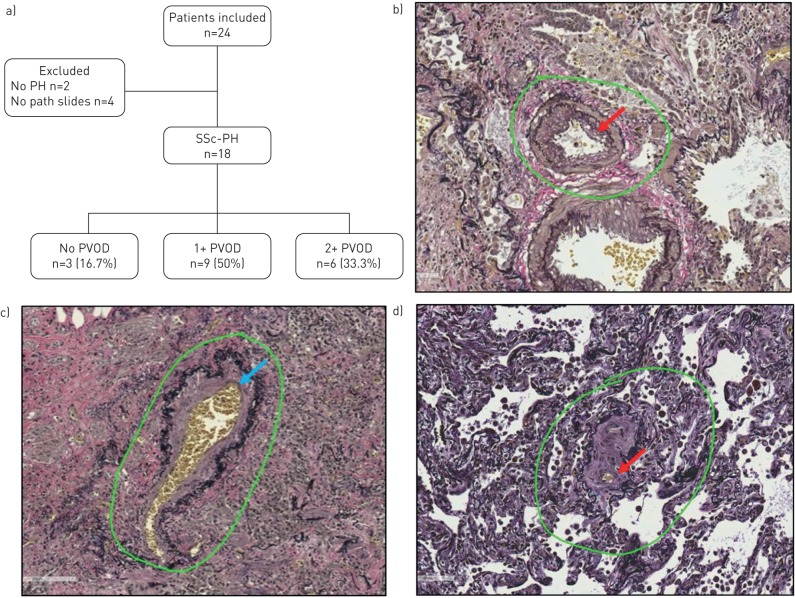 FIGURE 1