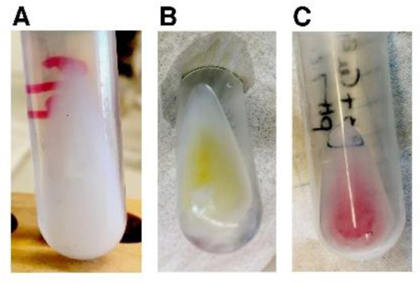 Figure 1: