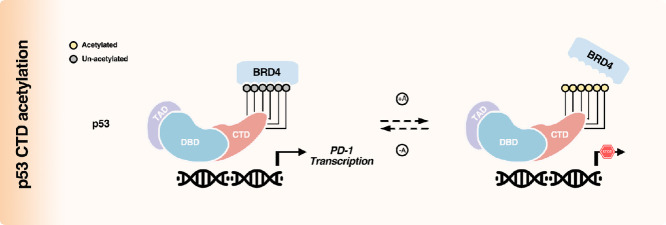 Image, graphical abstract