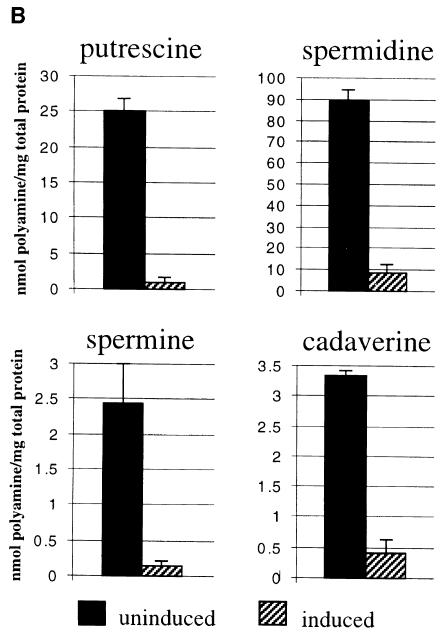 graphic file with name cdd187f4b.jpg