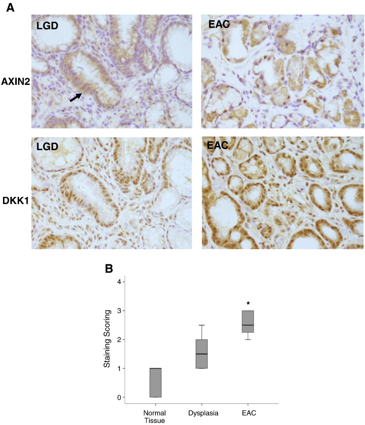 Figure 7