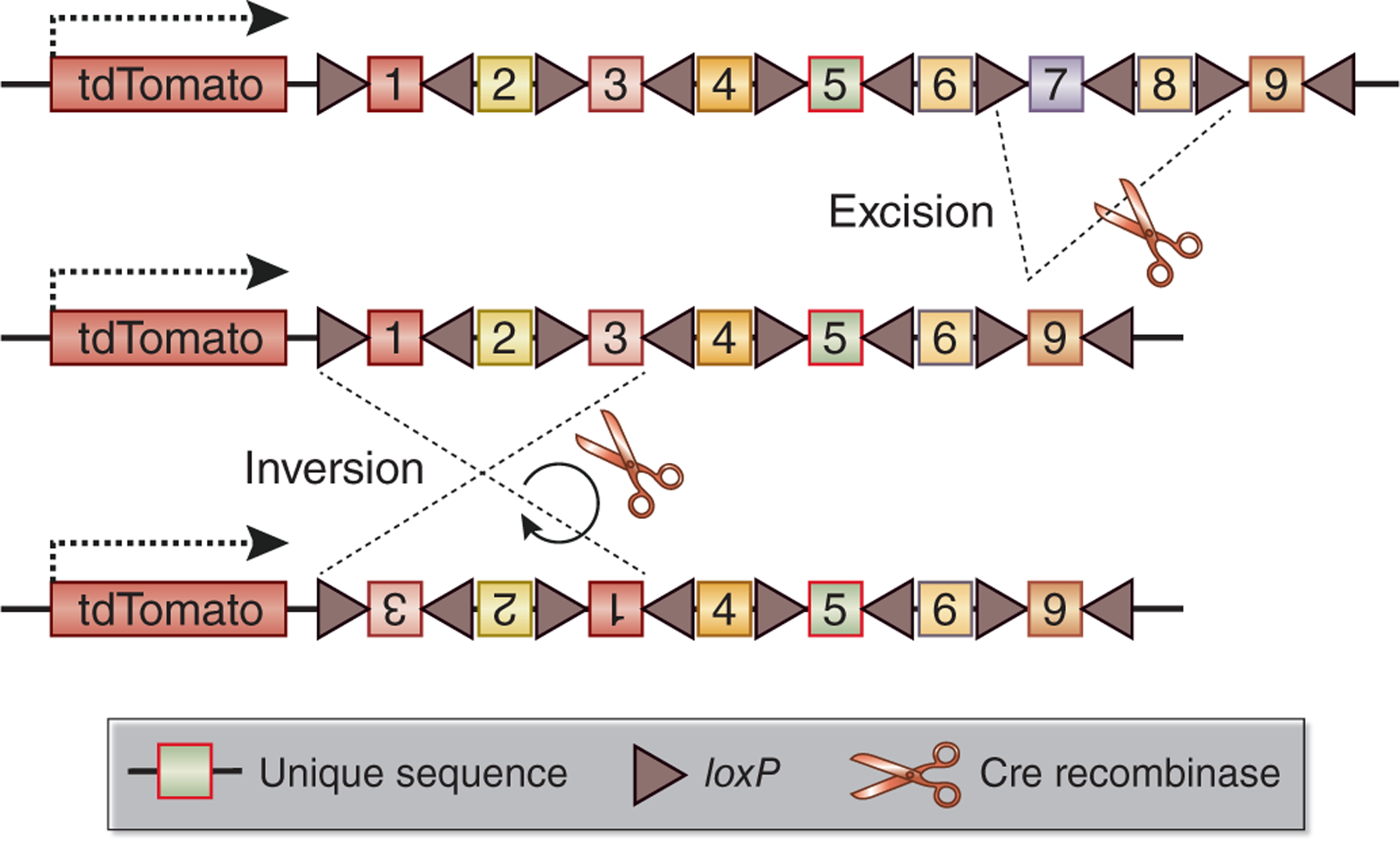 Figure 2.