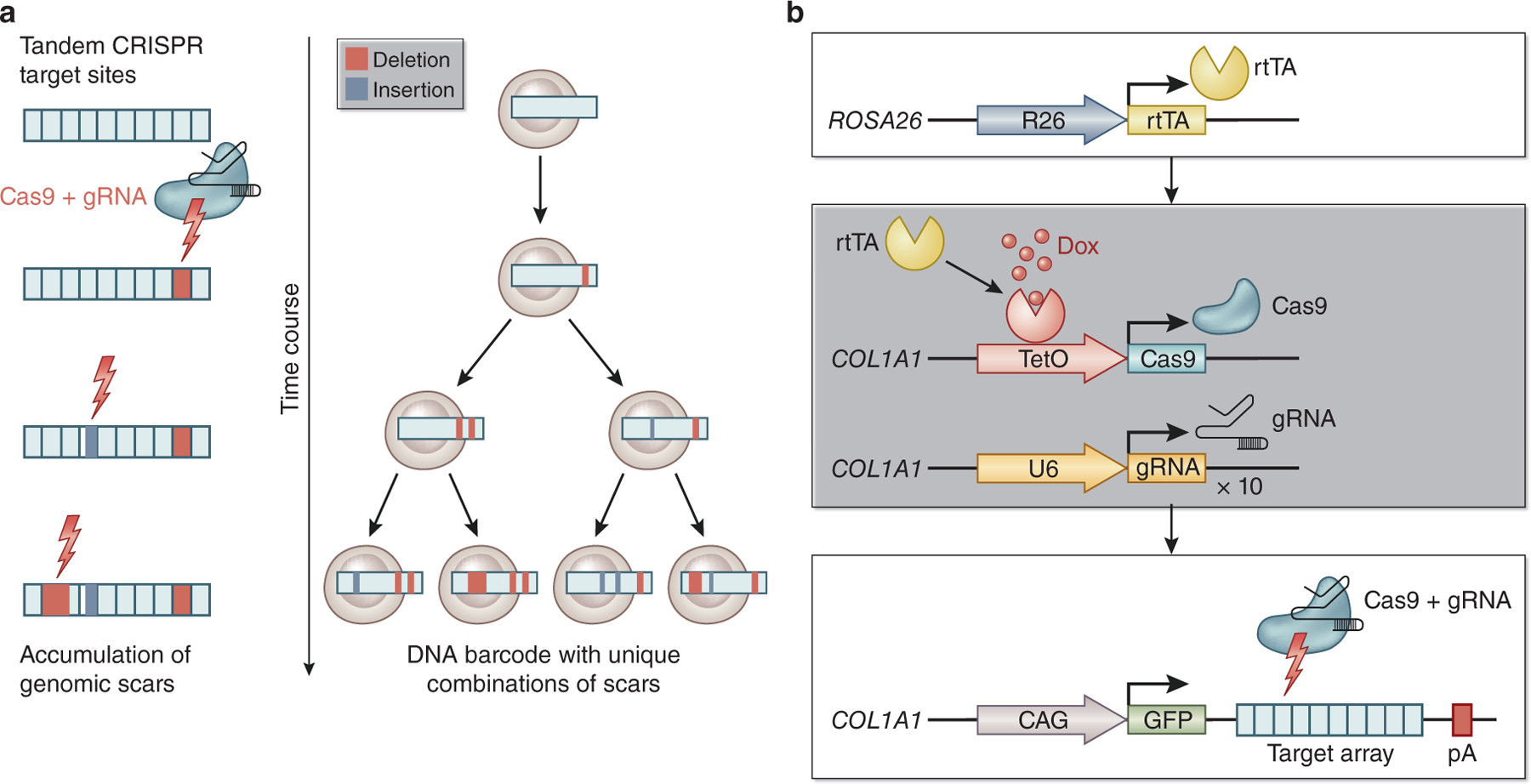 Figure 3.