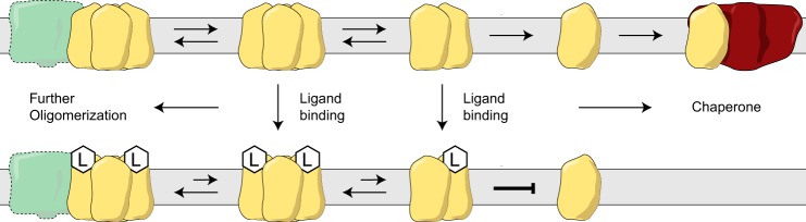 FIGURE 12.