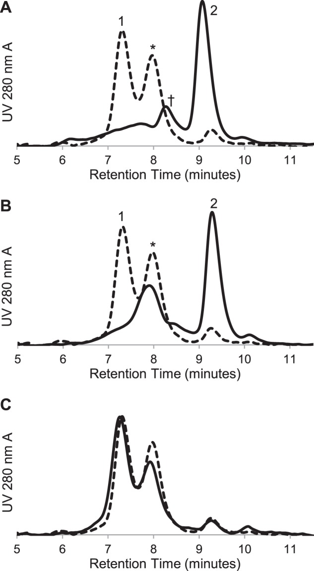 FIGURE 9.