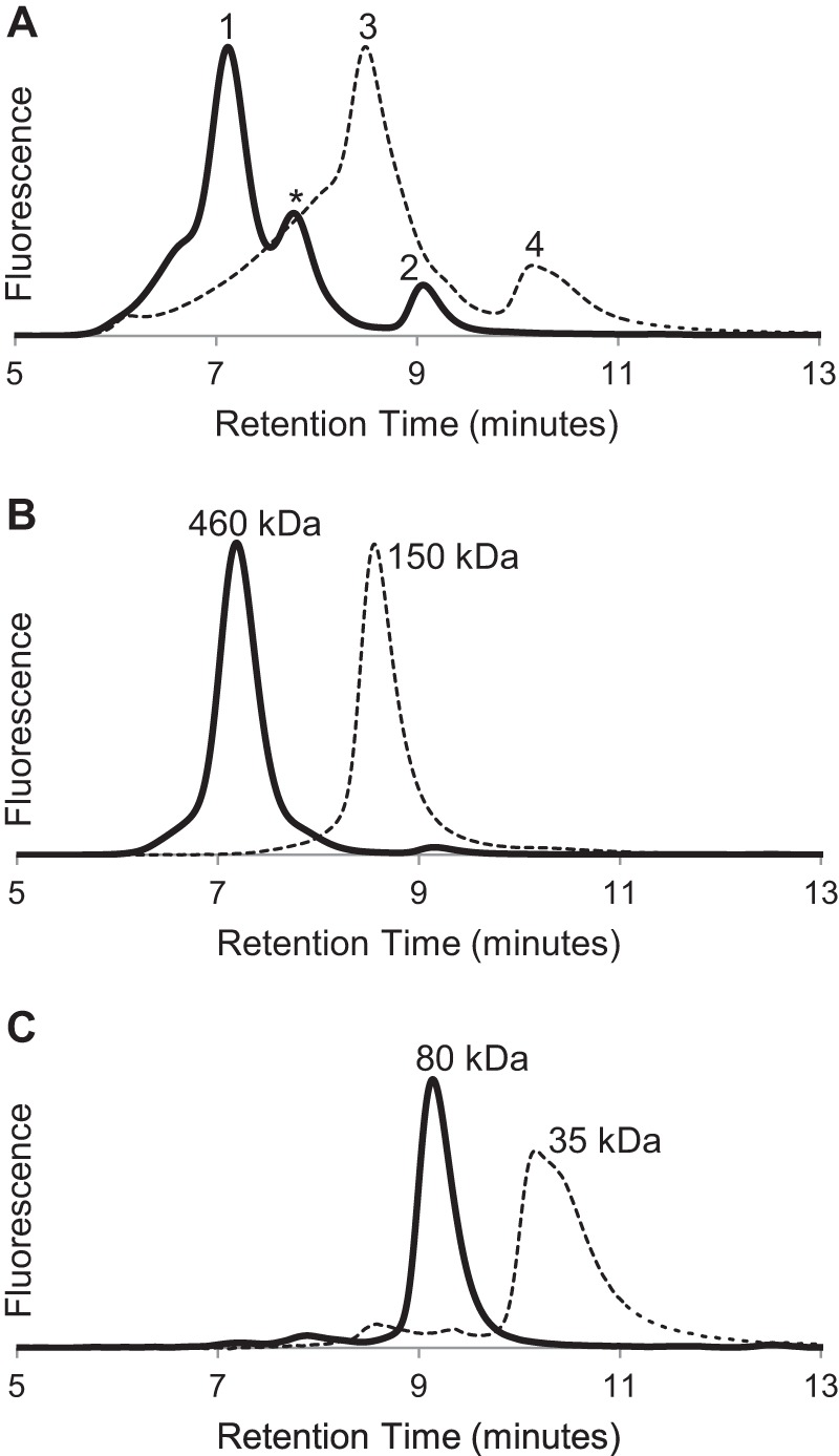 FIGURE 2.