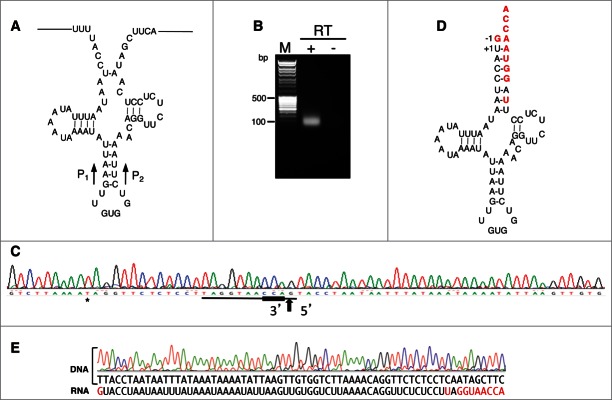 Figure 2.