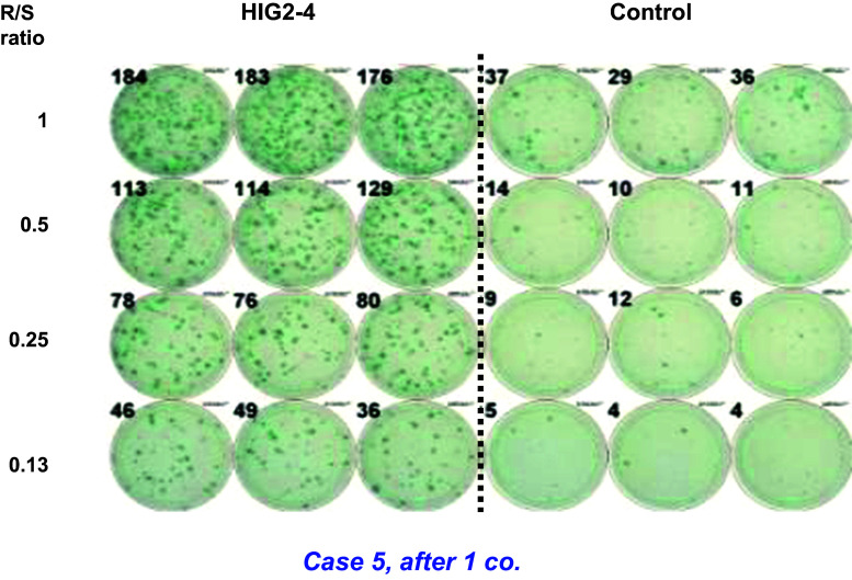 Fig. 3