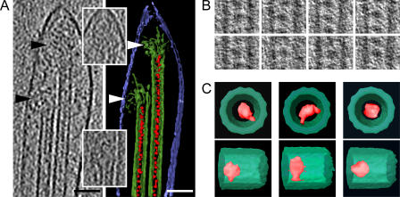 Figure 3.