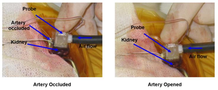 Fig. 8