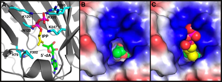 Figure 7.