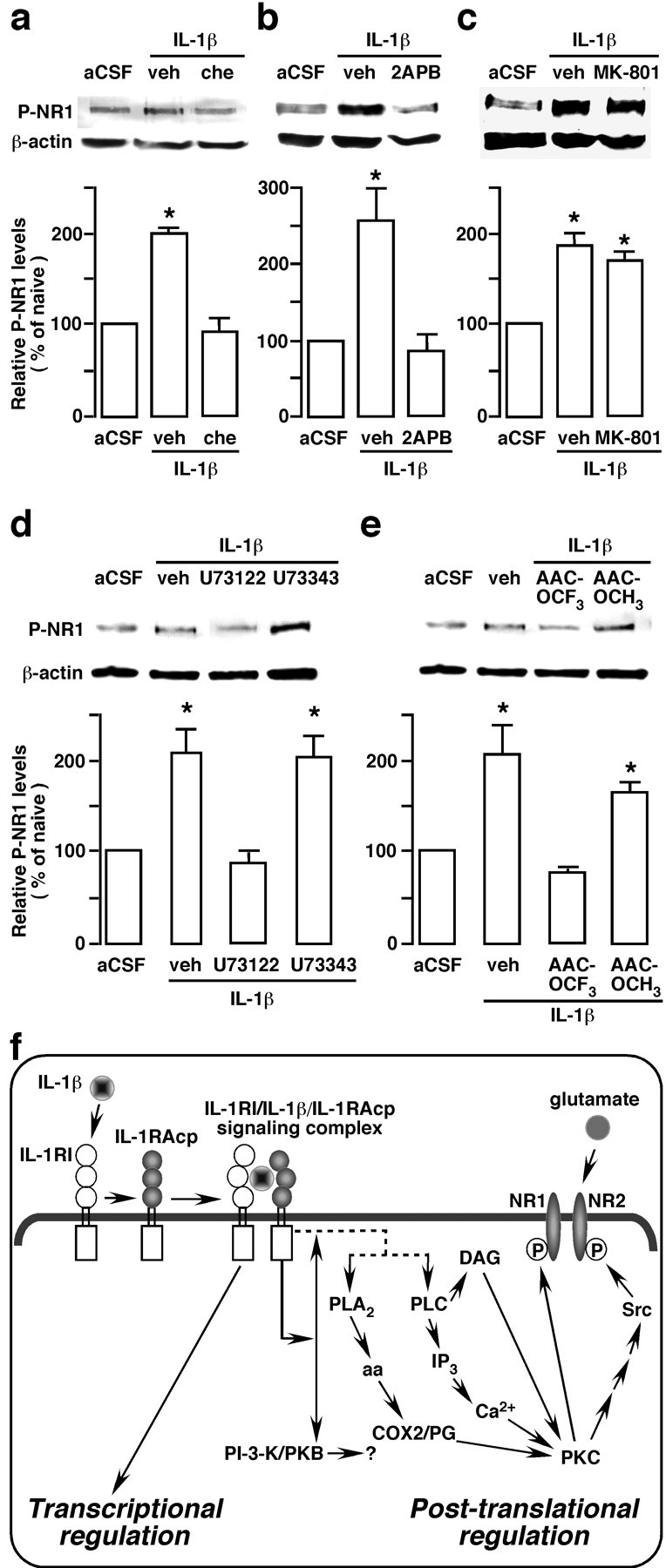 Figure 10.