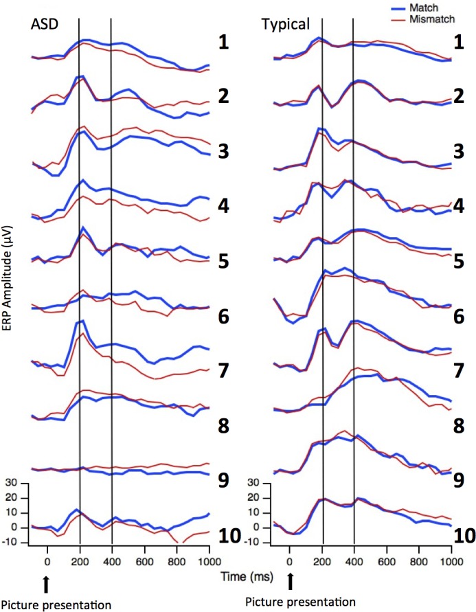 Fig 10