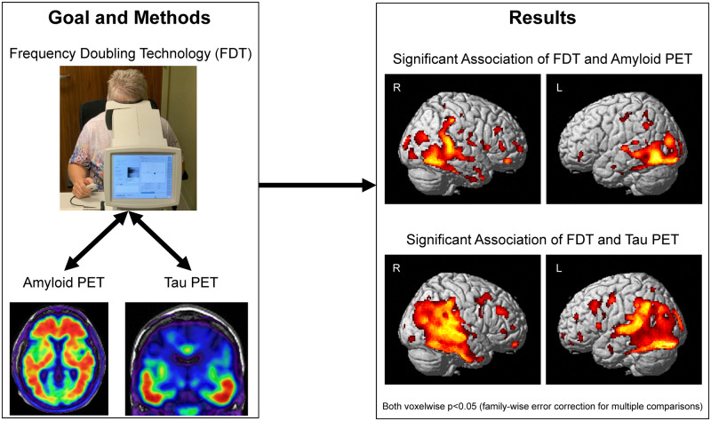 Graphical Abstract