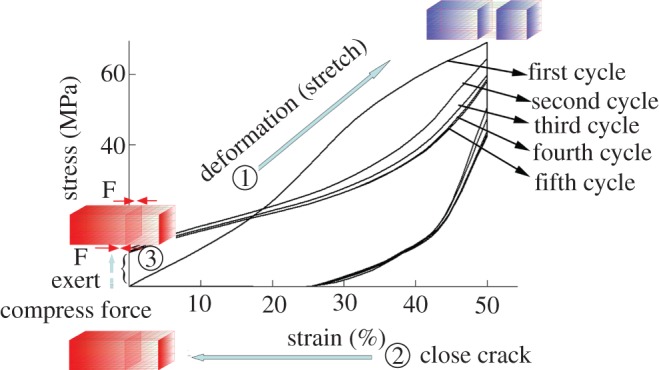 Figure 6.