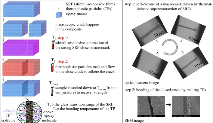 Figure 7.