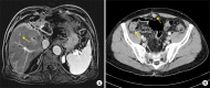 Fig. 9