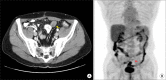 Fig. 8