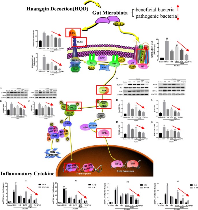 Graphical Abstract