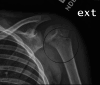 Fig. 1.