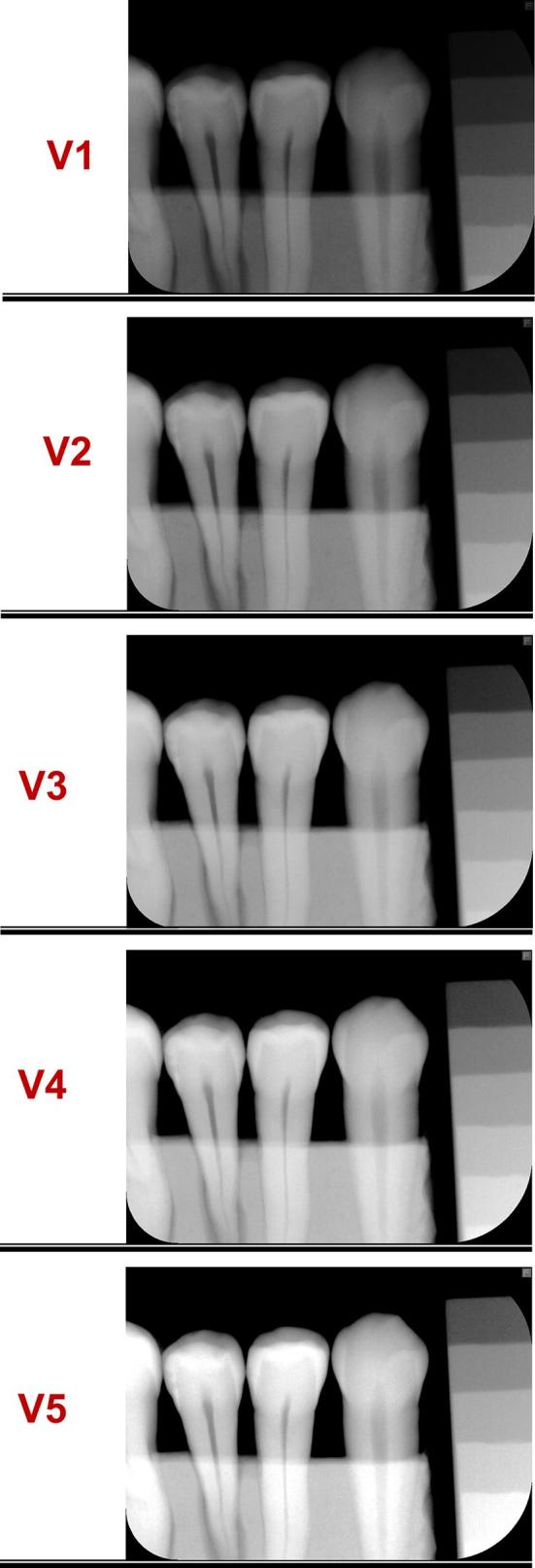 Figure 3. 