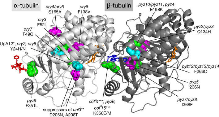 Fig 5