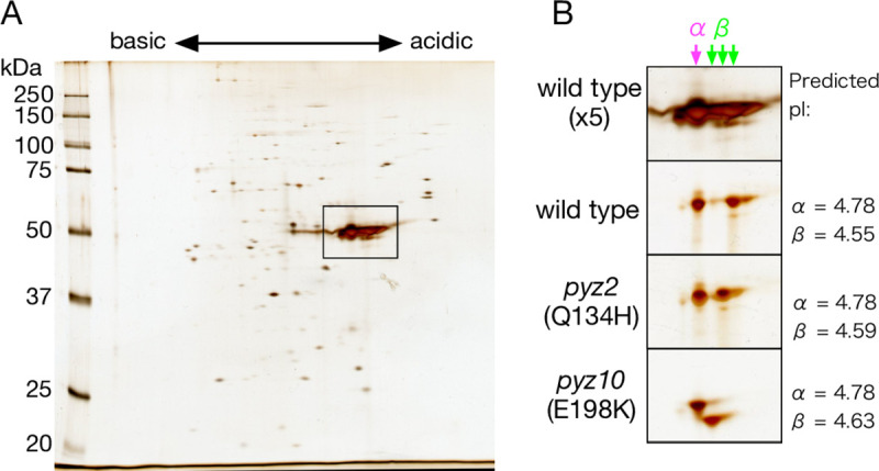 Fig 6